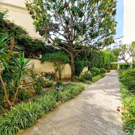 Palais Festivals Cannes